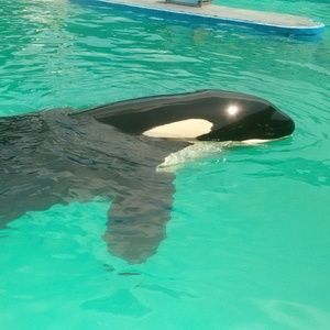 Meet your Posher, Alberto